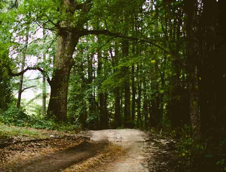 电话自动追呼系统