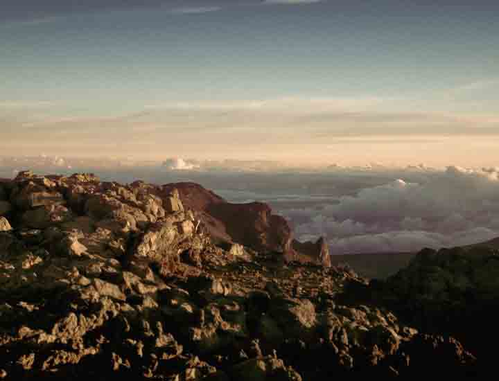 正版去哪买的免费电话轰炸软件